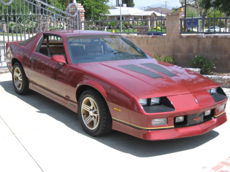 1988BURGENDYIROCZ/30.JPG