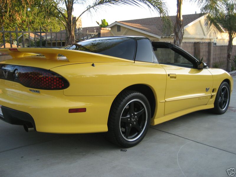 2002WS6COLLTTOPYELOW/8.jpg