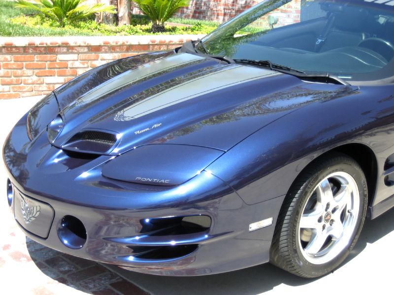 #36 2002 Pontiac Trans Am With Ws6 Package 6 Speed Must See!